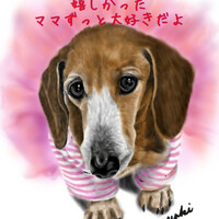 画像268