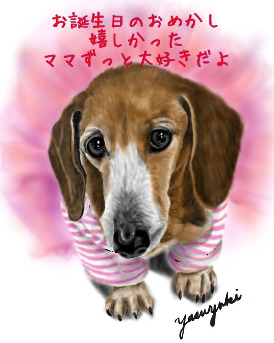画像268