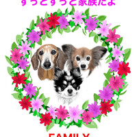画像272