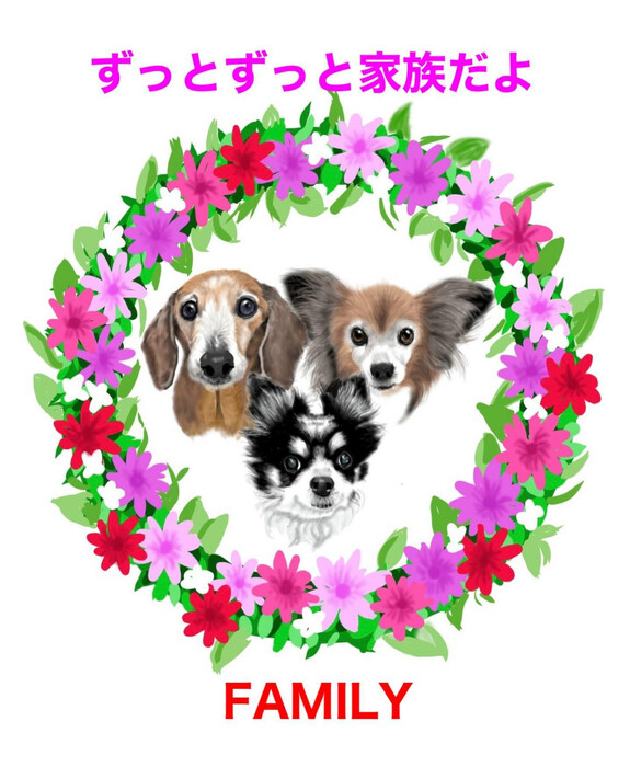 画像272