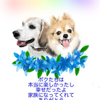 画像280