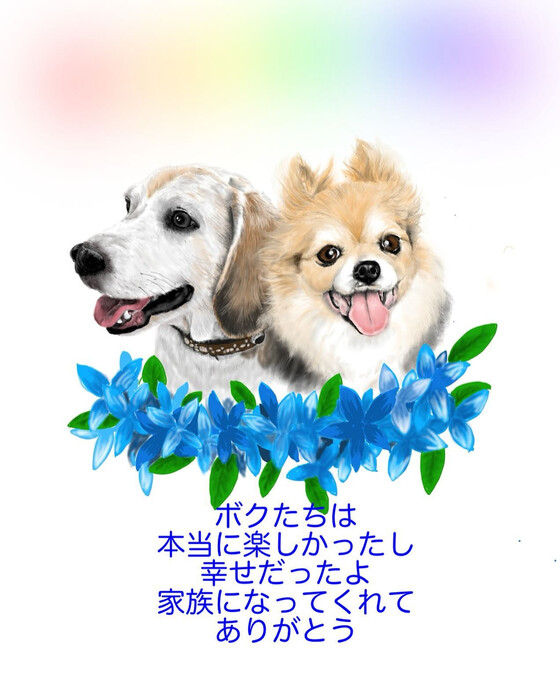 画像280