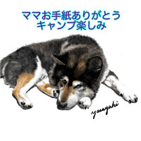 画像282