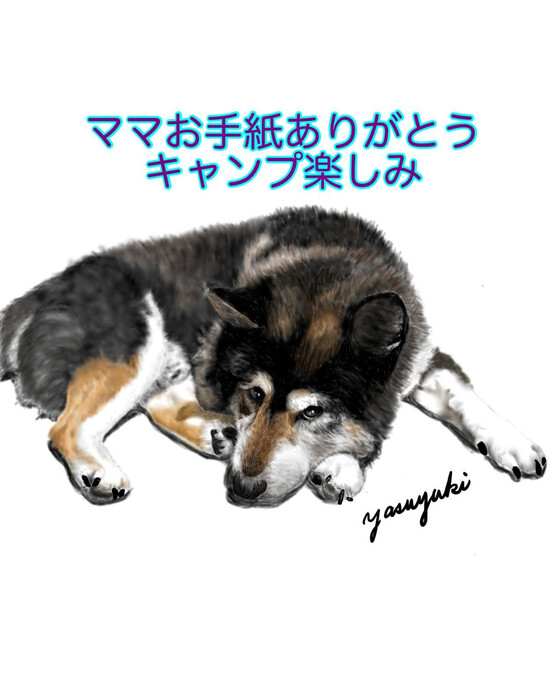 画像282
