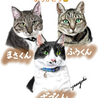 画像290
