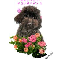 画像314