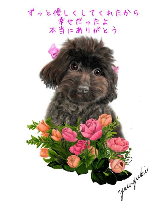 画像314