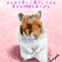 画像320