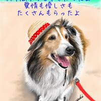 画像328