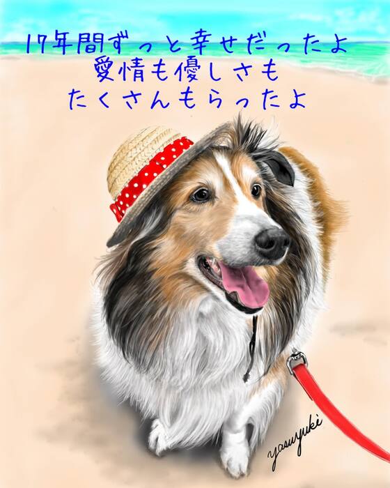 画像328