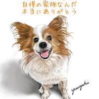 画像332