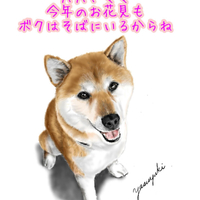 画像375