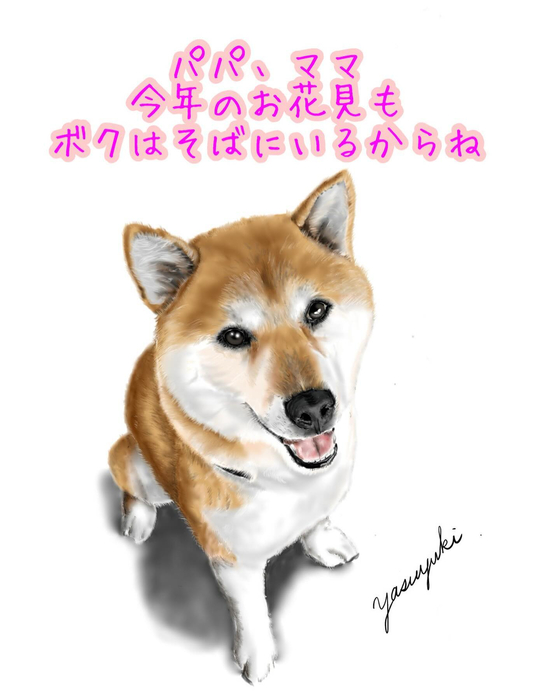 画像375
