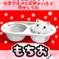 画像423