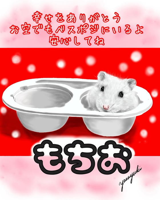 画像423