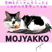 画像426