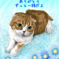 画像429