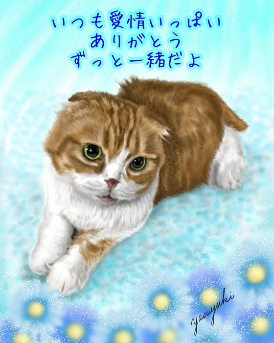 画像429