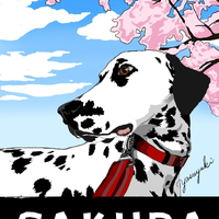 画像477