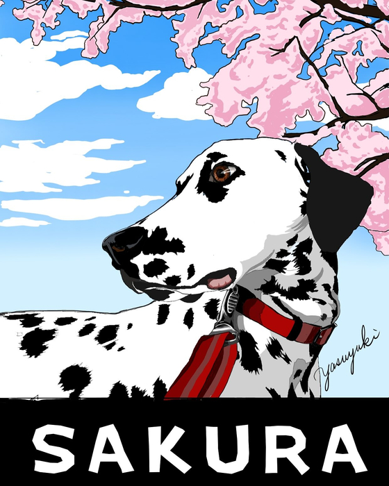 画像477