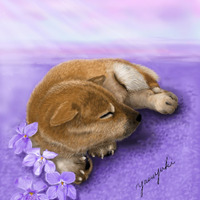 画像496