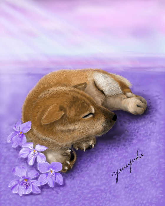 画像496