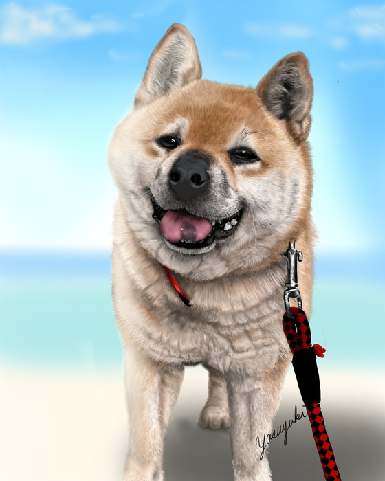 画像497