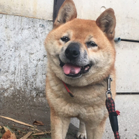 画像499