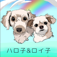 画像593