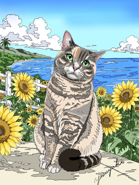 画像677