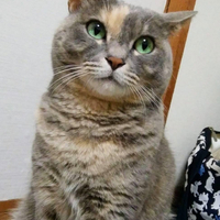 画像678