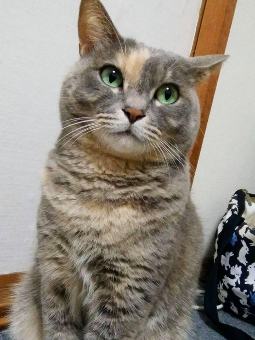 画像678